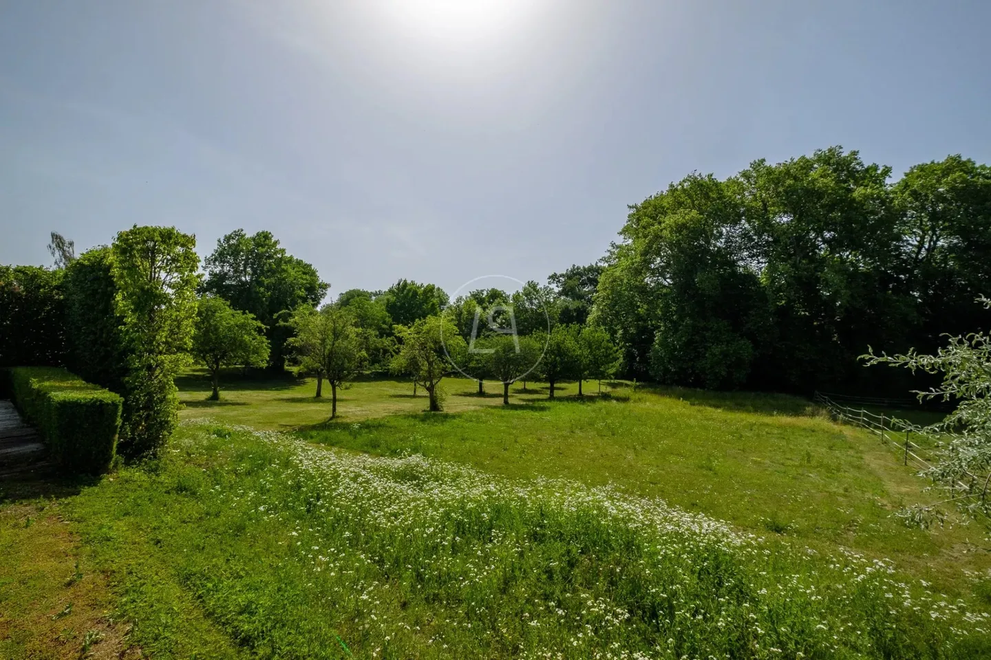 Historic Château with Parkland - Photo 6 of 13