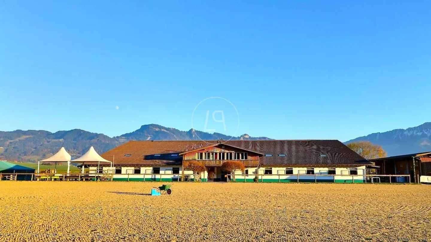 Rare Equestrian Estate with Pool - Photo 3 of 13