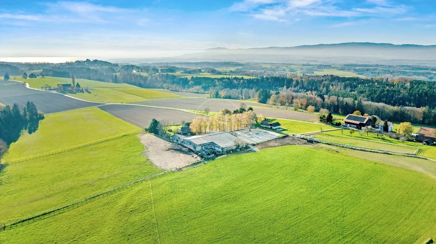 Seltene Reitanlage mit großem Potenzial in der Nähe von Lausanne - Foto 2 von 13