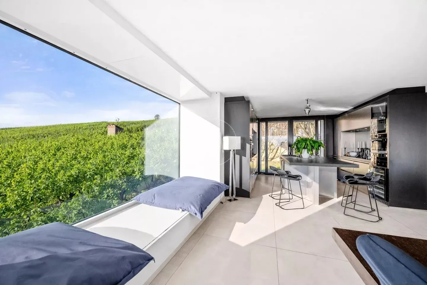 Architect-Designed Villa with Lake View - Photo 4 of 13