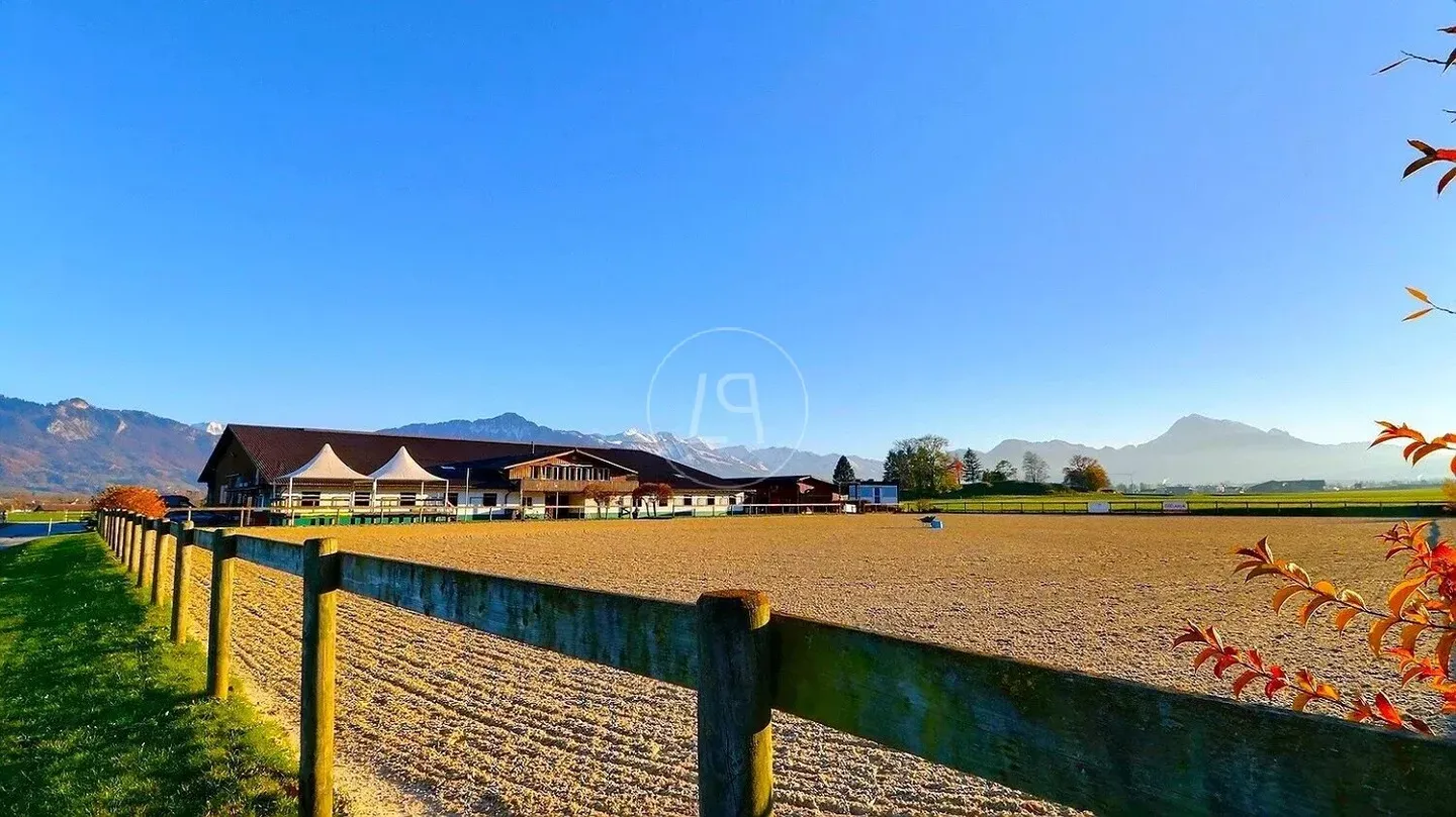 Rare Equestrian Estate with Pool - Photo 2 of 13