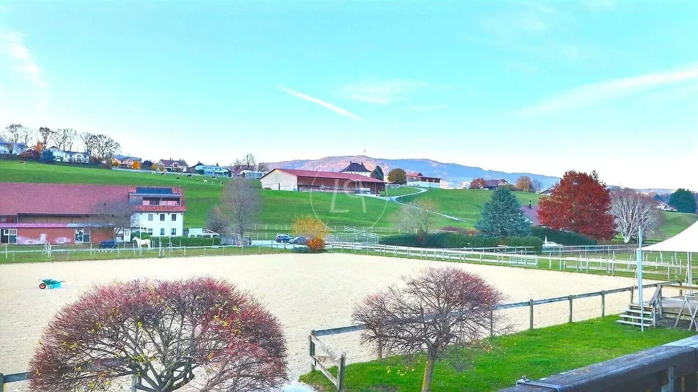 Rare Equestrian Estate with Pool - Photo 10 of 13
