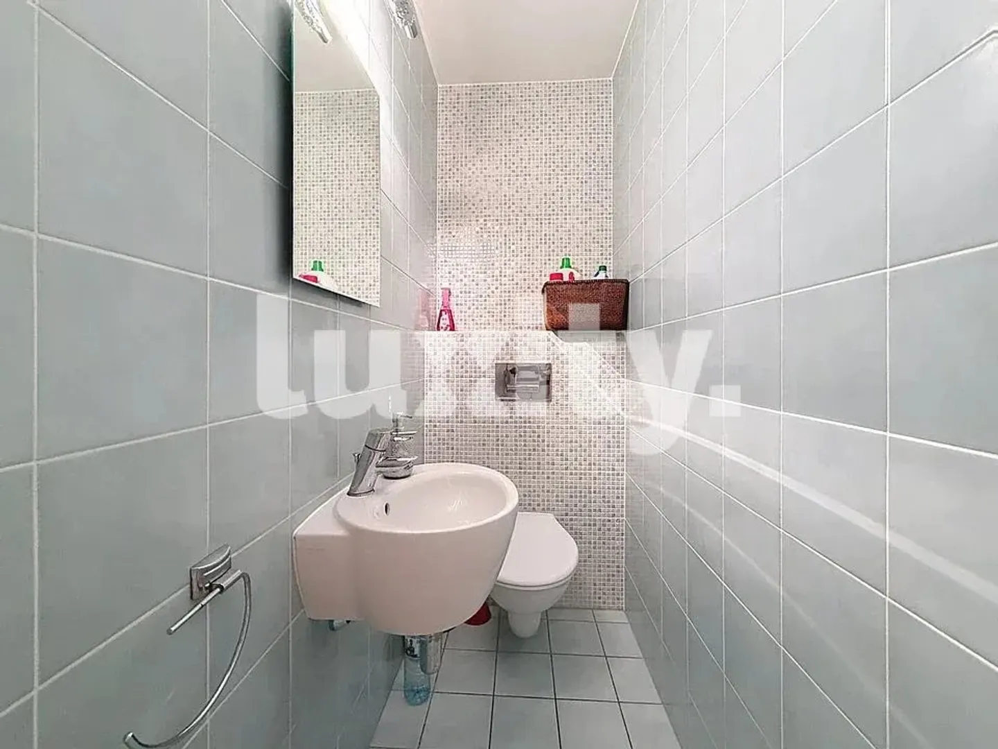 VERSOIX – SUPERB FURNISHED 4-ROOM APARTMENT OF 80 M², BRIGHT AND QUIET, 5 MINUTES FROM THE TRAIN STATION! - Photo 6 of 8