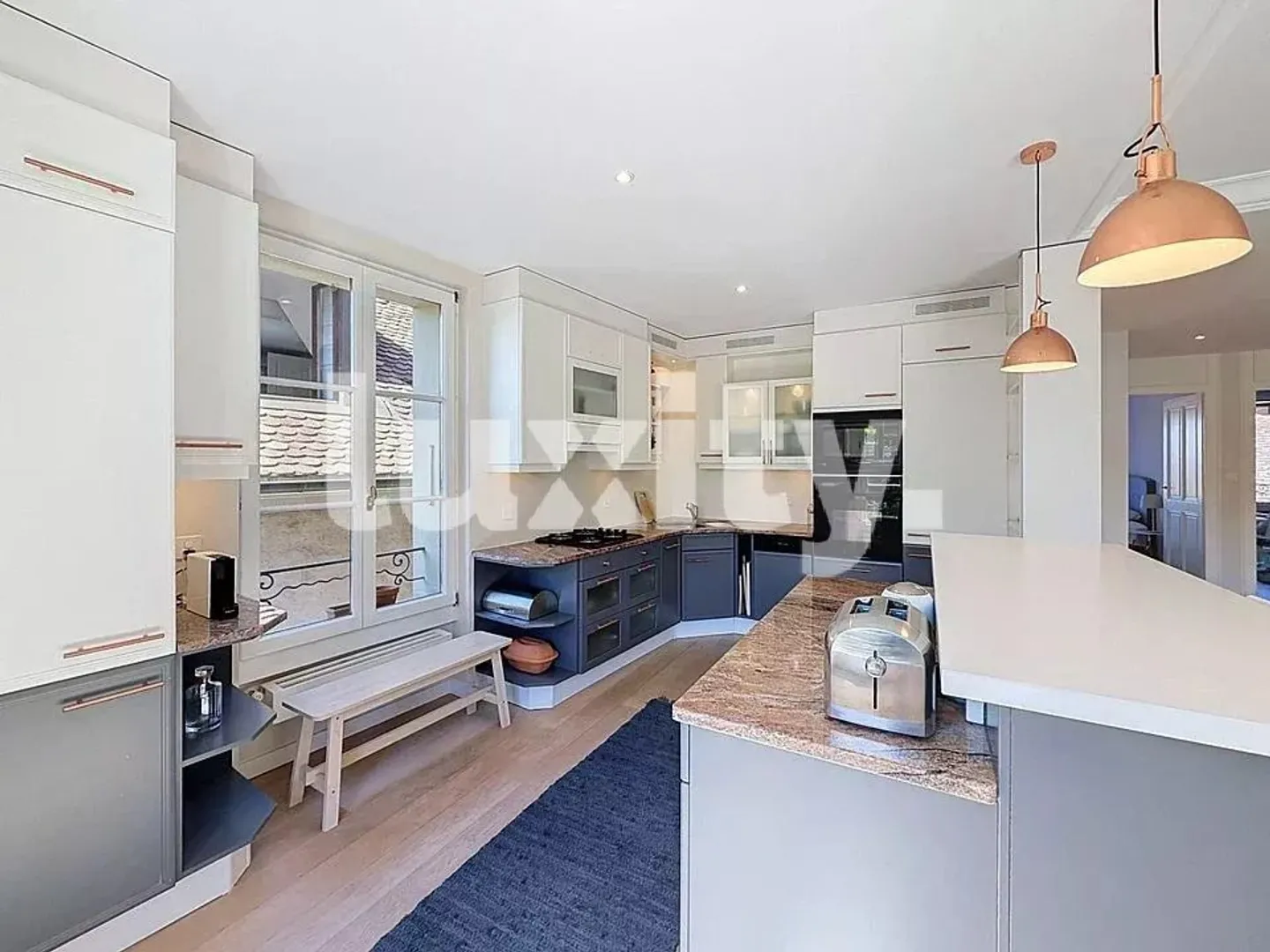 FURNISHED APARTMENT JUST STEPS FROM OLD CAROUGE - Photo 3 of 4
