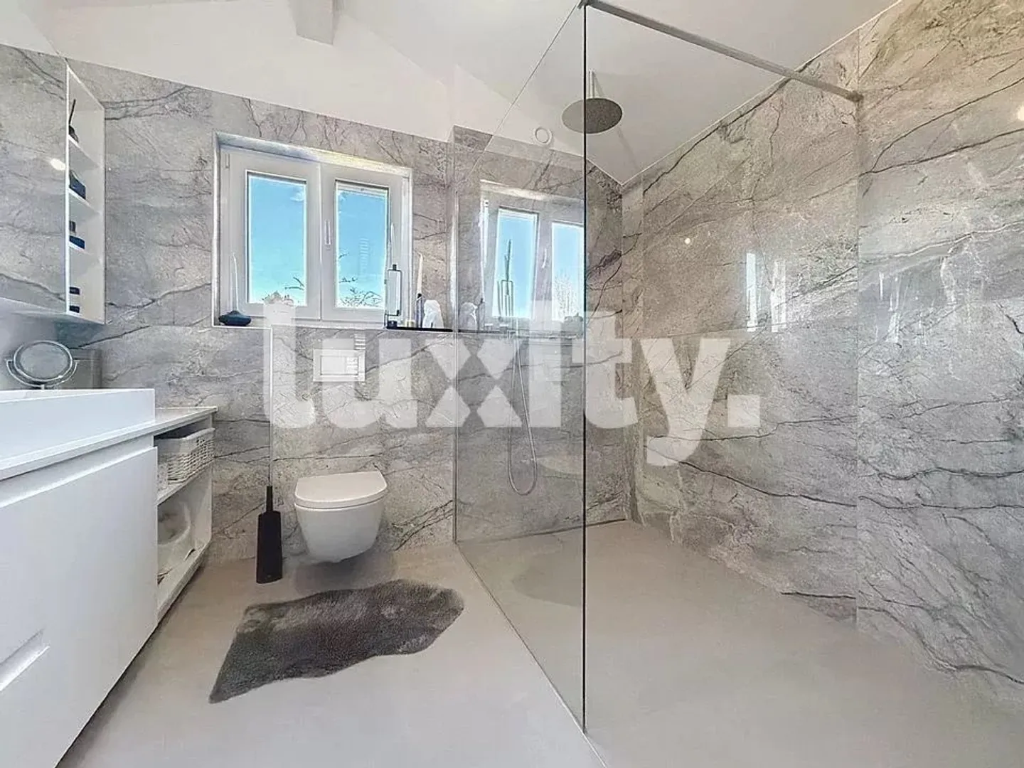 Maison contemporaine à Onex - Photo 3 sur 7