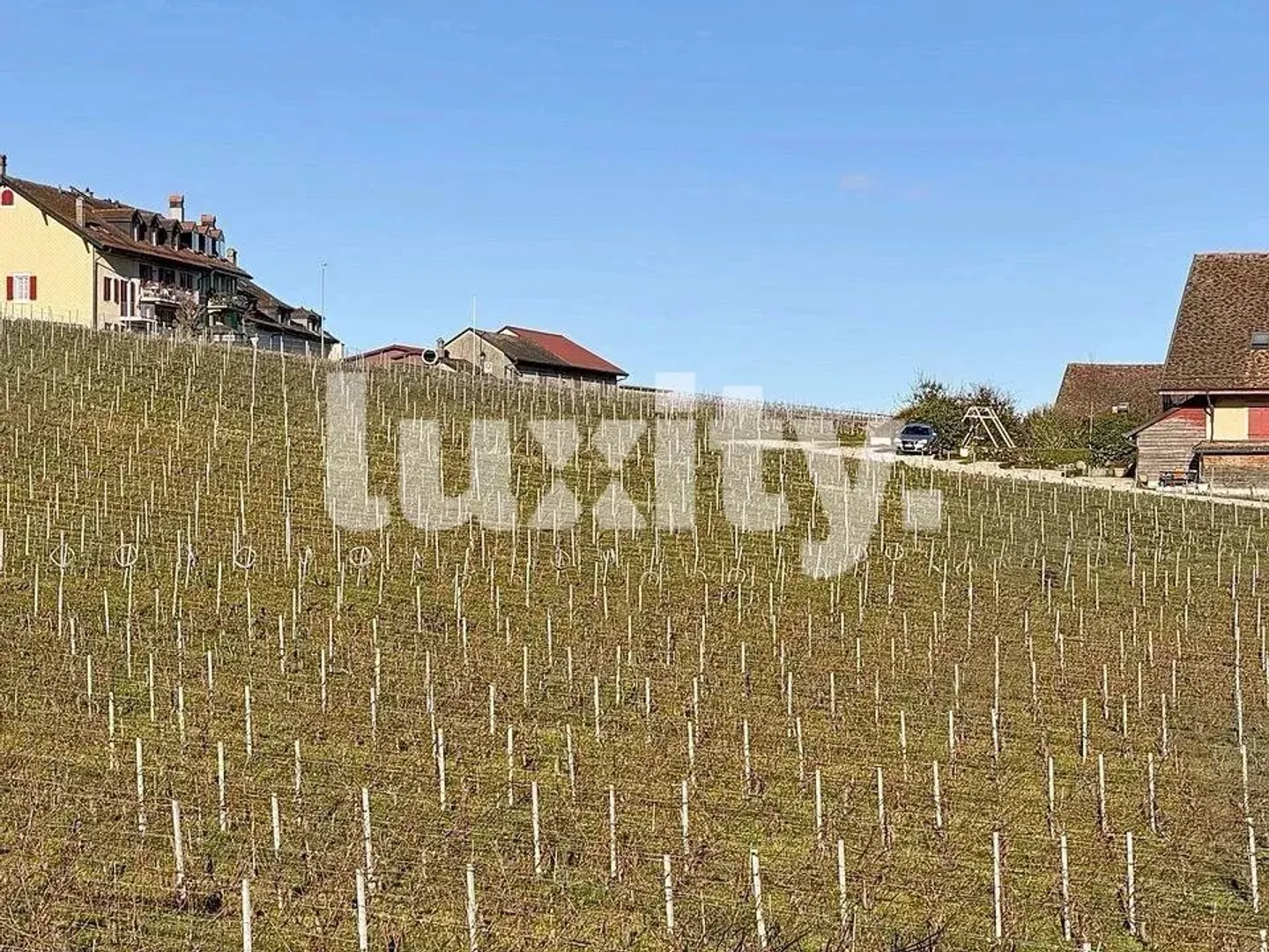 À louer - Magnifique appartement de 4,5 pièces entre vignes et montagnes à Féchy - Photo 2 sur 8