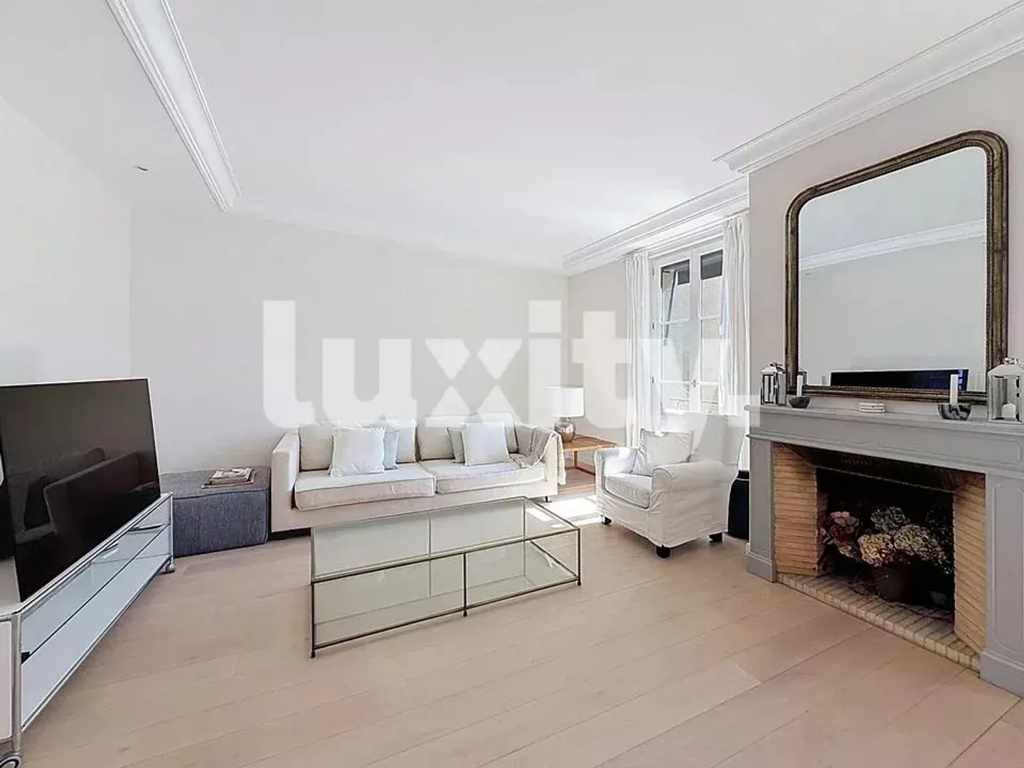 FURNISHED APARTMENT JUST STEPS FROM OLD CAROUGE - Photo 1 of 4