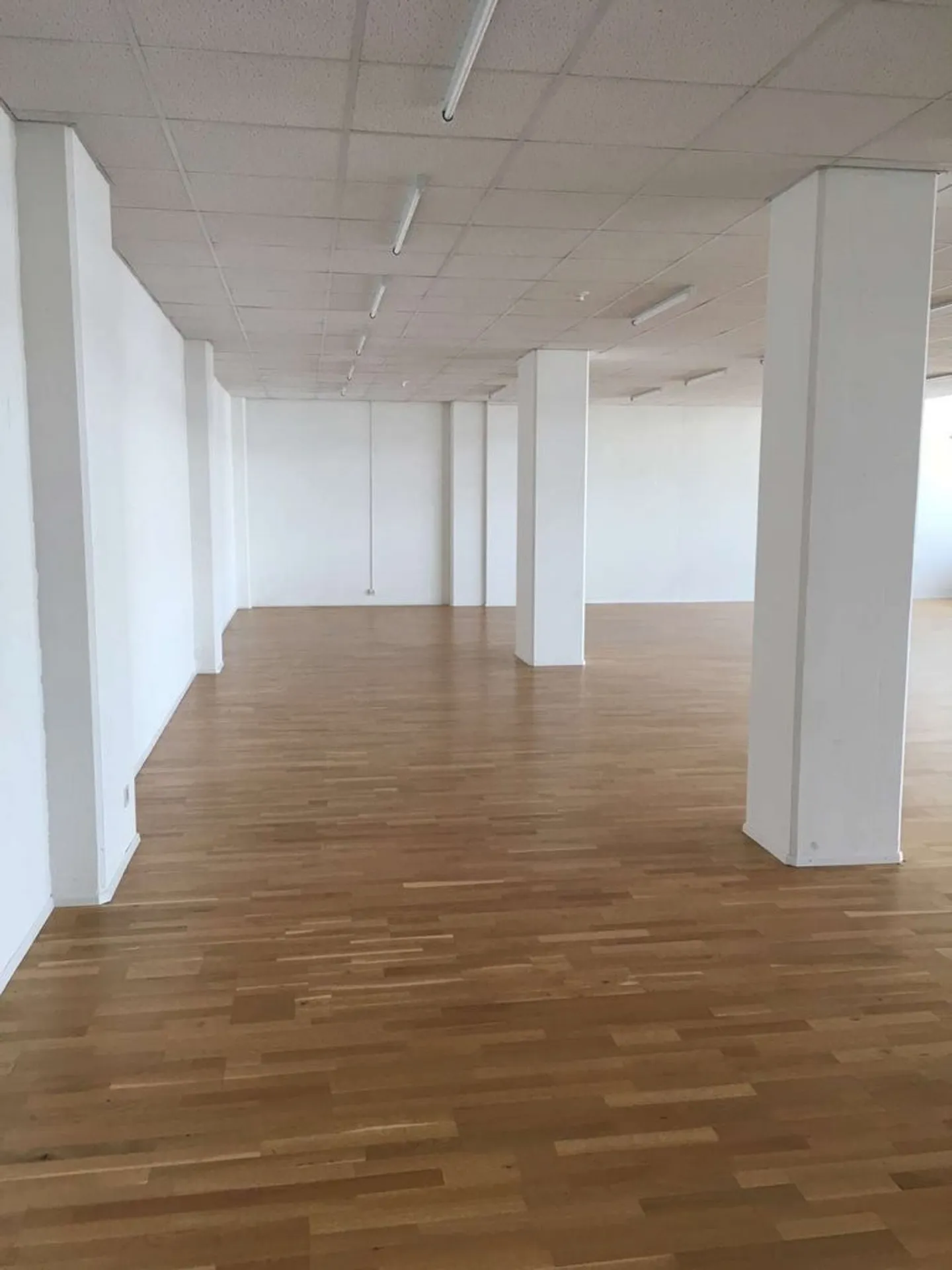 GREENHOUSE - Il tuo nuovo studio, ufficio, magazzino, laboratorio o atelier...? - Foto 4 di 7