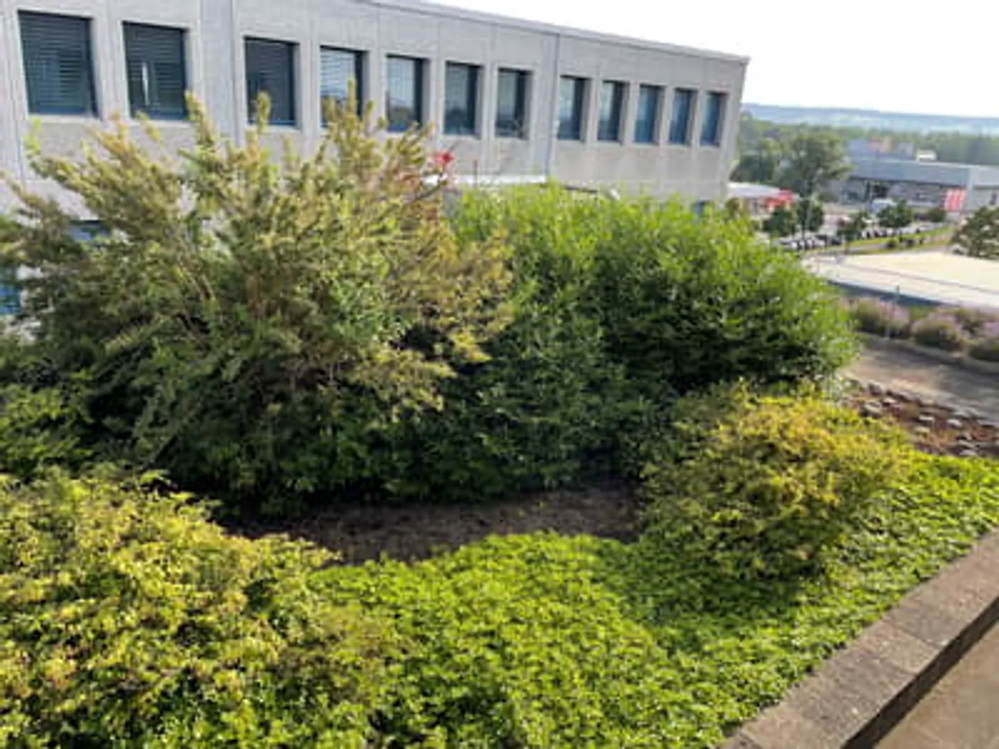 Büro- und Laborräume - Foto 4 von 5