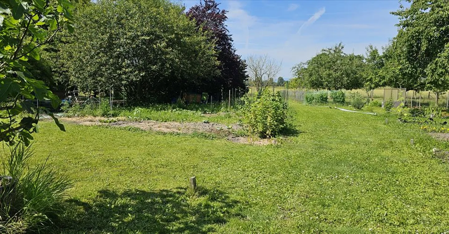 Grand Terrain de Jardin à Louer - Photo 1 sur 5