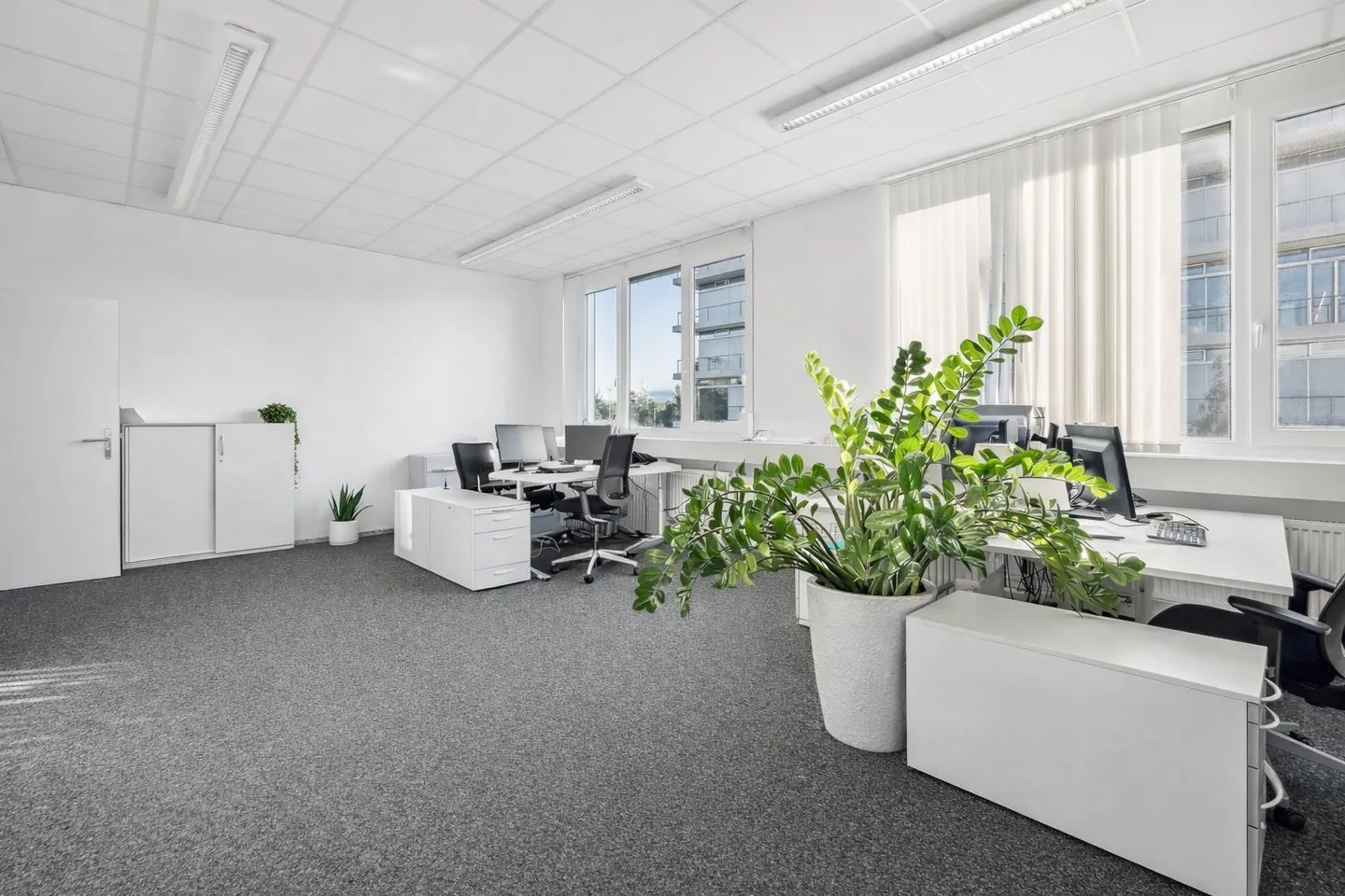 Espace de bureau agrandi avec terrasse généreuse - Photo 4 sur 8