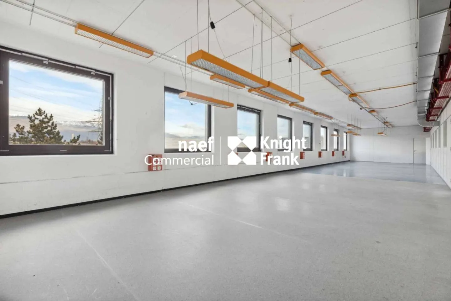 Superficie di 430 m² nella zona industriale ZIMEYSA di Meyrin - Foto 5 di 12