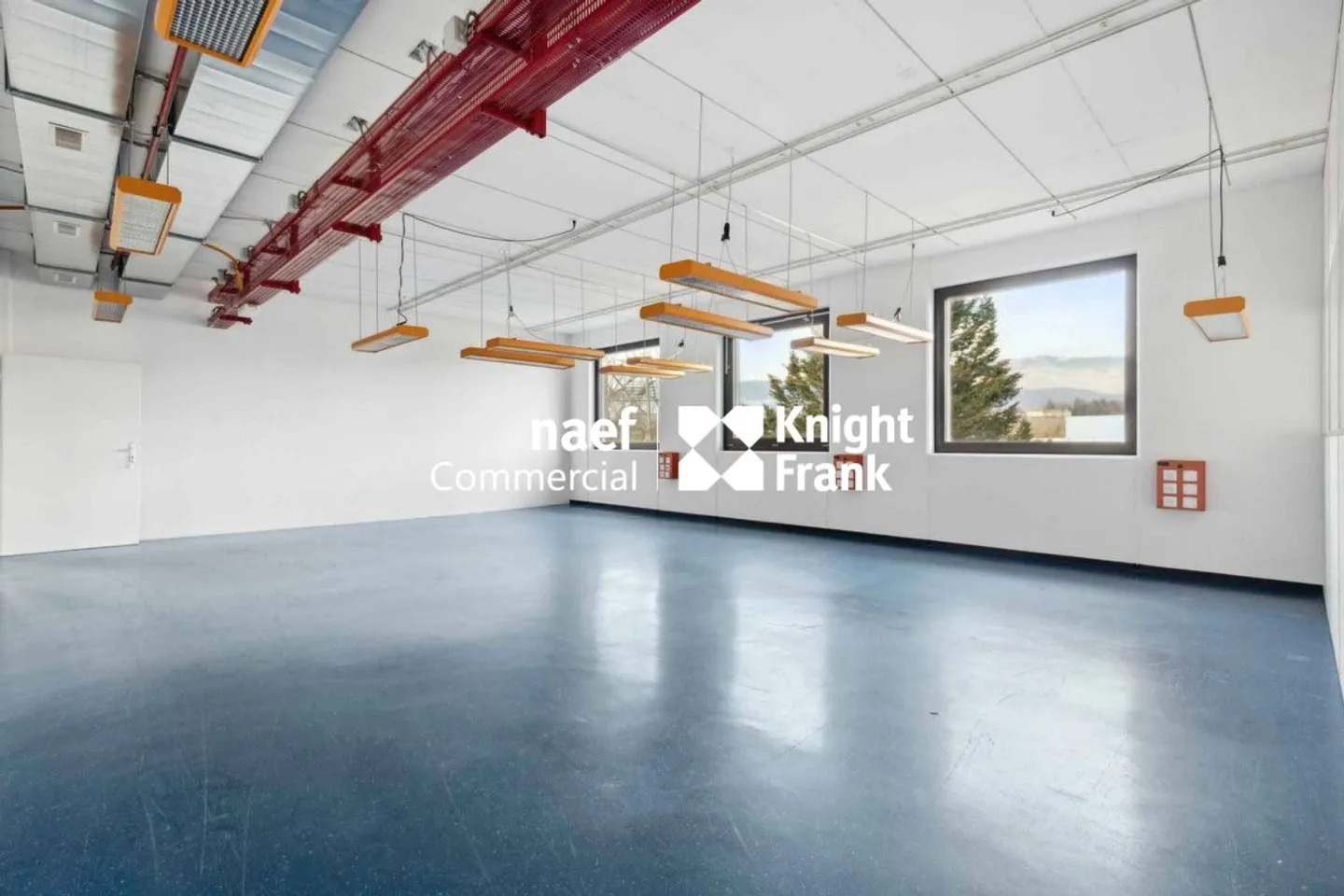 Superficie di 430 m² nella zona industriale ZIMEYSA di Meyrin - Foto 7 di 12