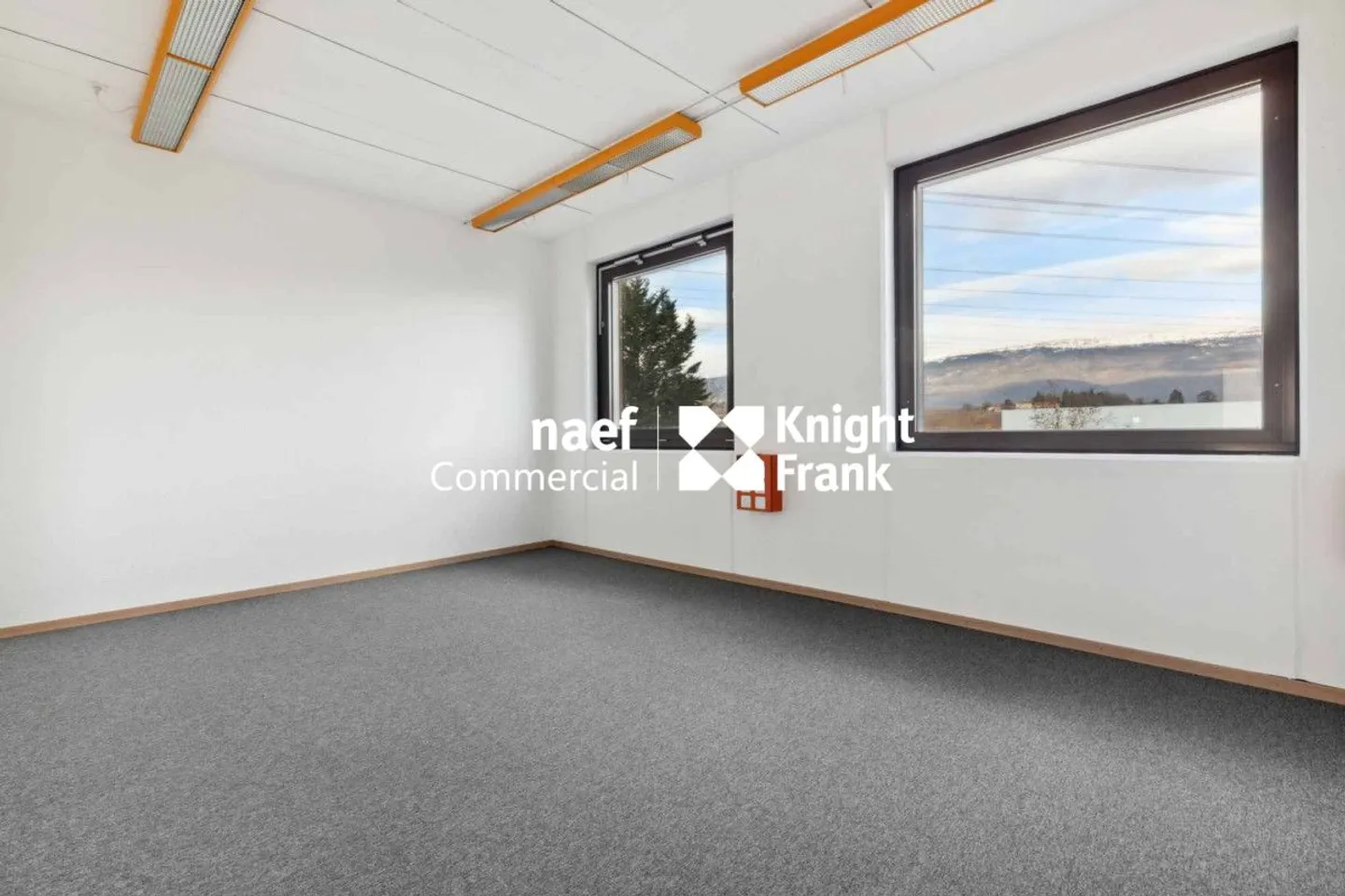 Superficie di 430 m² nella zona industriale ZIMEYSA di Meyrin - Foto 12 di 12