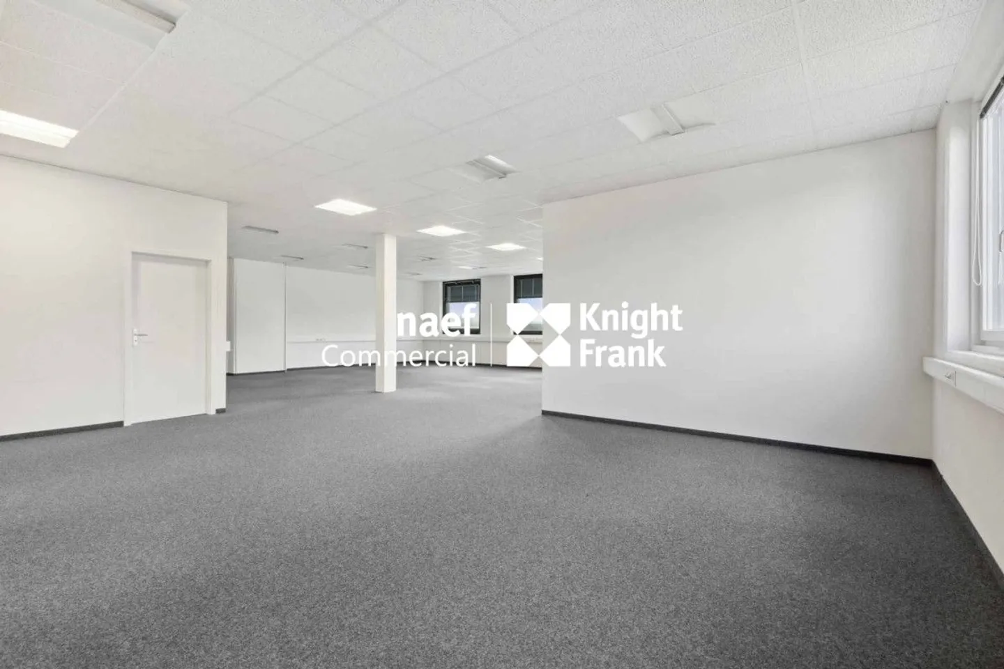 Fläche von 418 m² in der Industriezone ZIMEYSA von Meyrin - Foto 5 von 8