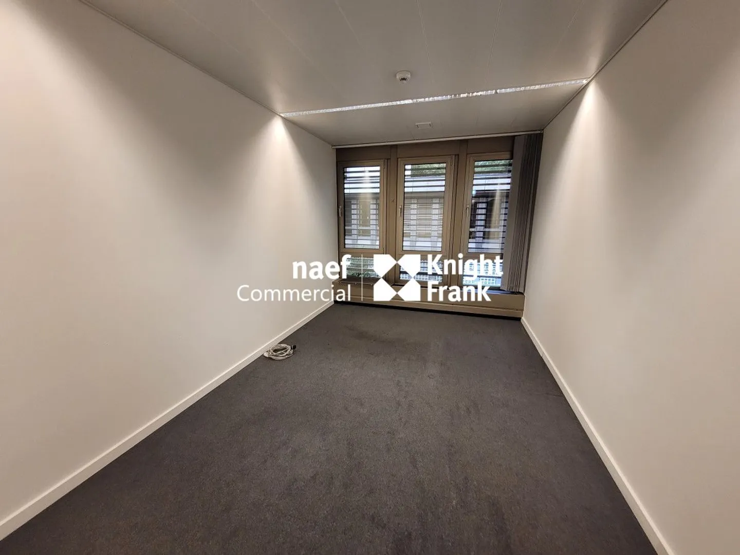 Malagnou - 485 m² Office on the Upper Ground Floor - Photo 4 of 11