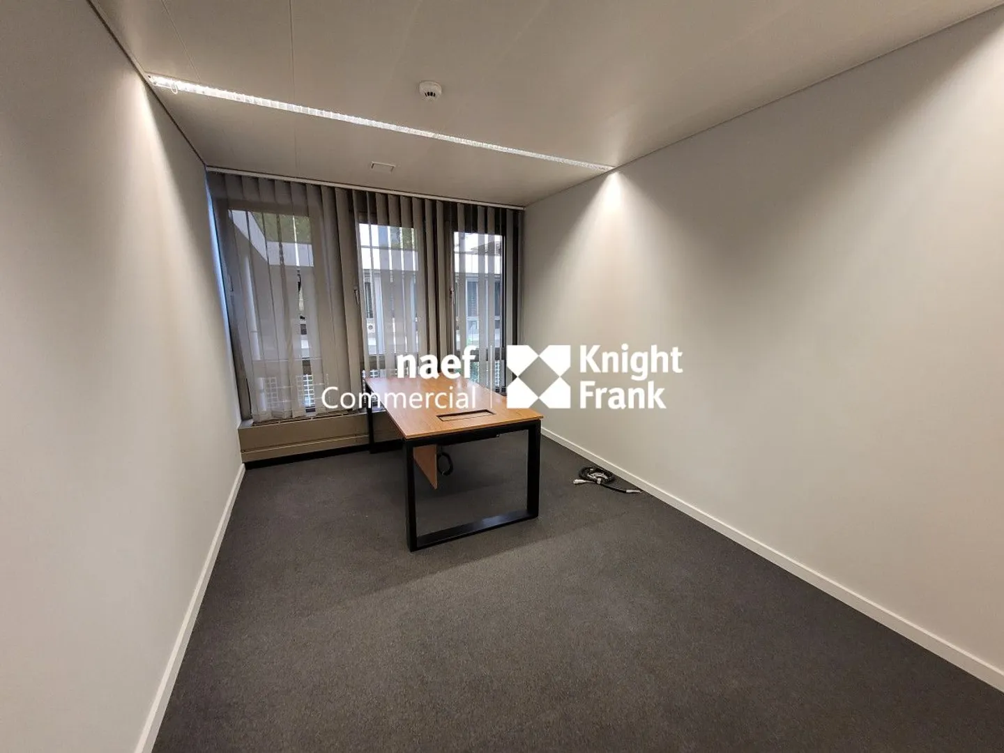 Malagnou - 485 m² Office on the Upper Ground Floor - Photo 6 of 11
