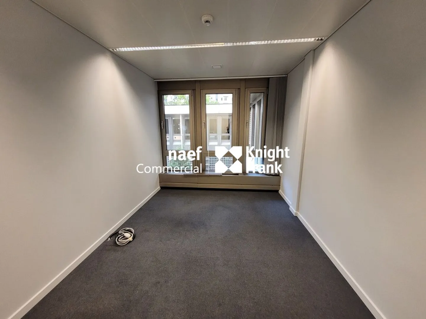 Malagnou - 485 m² Office on the Upper Ground Floor - Photo 8 of 11