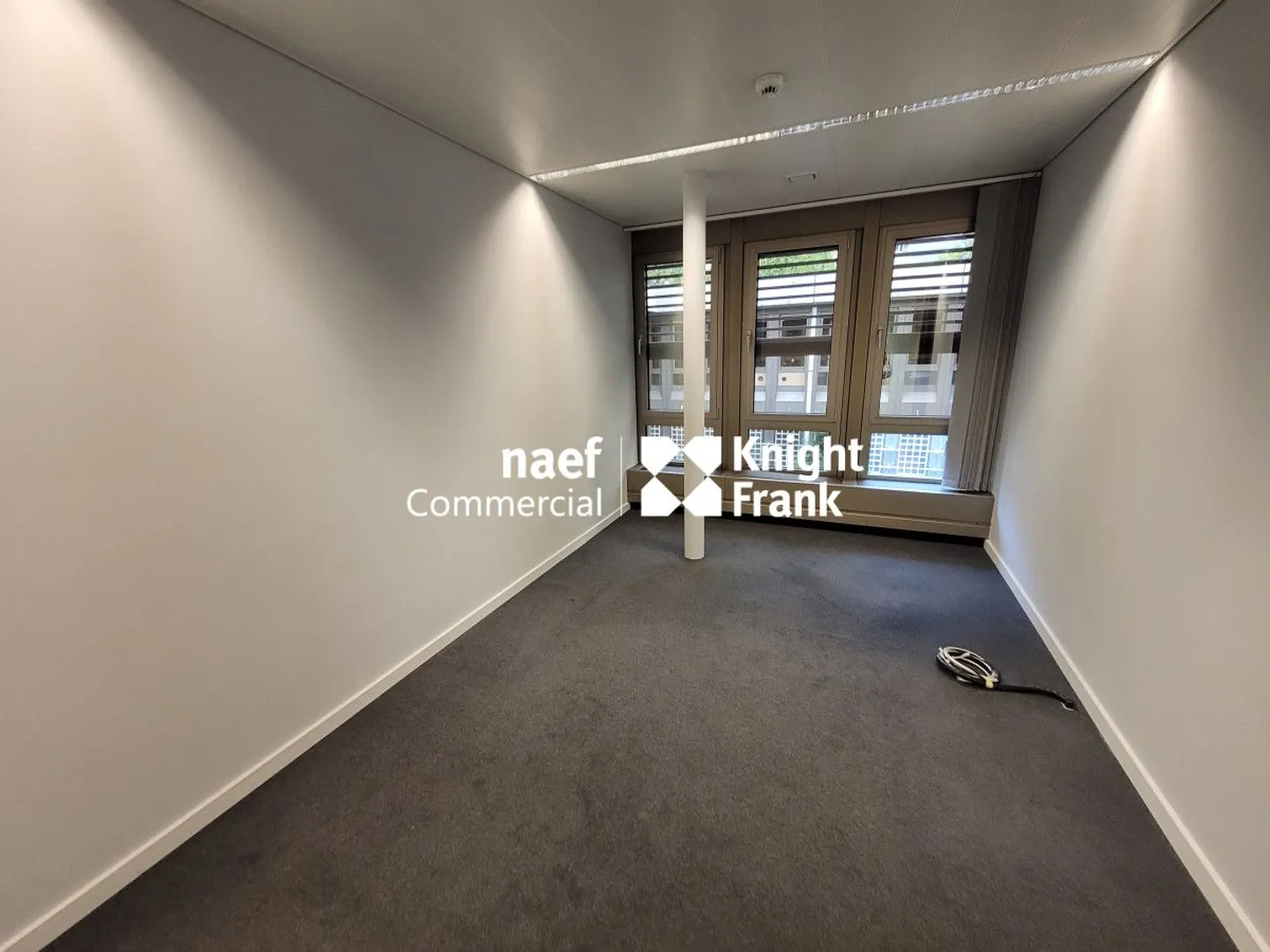 Malagnou - 485 m² Office on the Upper Ground Floor - Photo 7 of 11