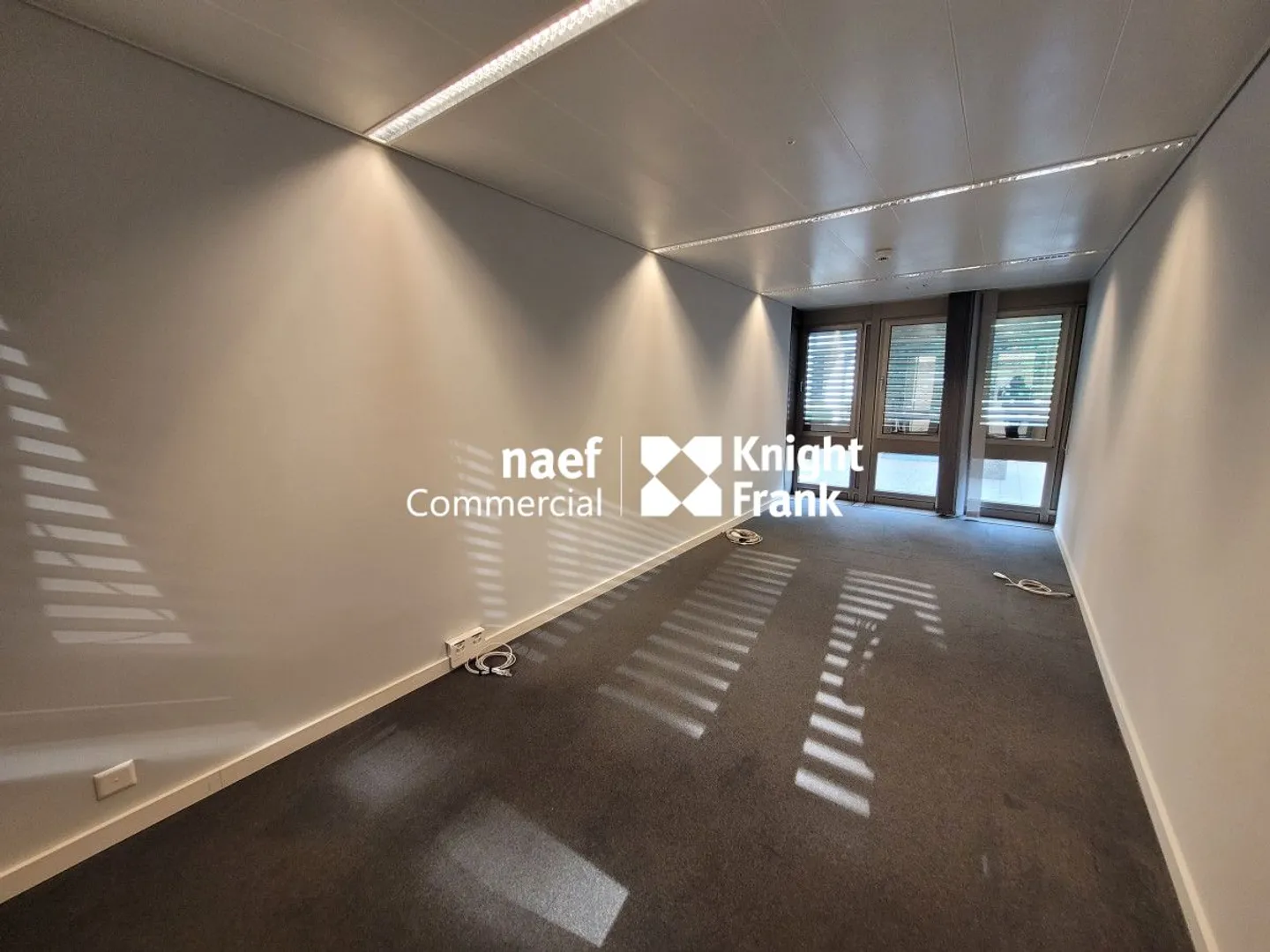 Malagnou - 485 m² Office on the Upper Ground Floor - Photo 9 of 11