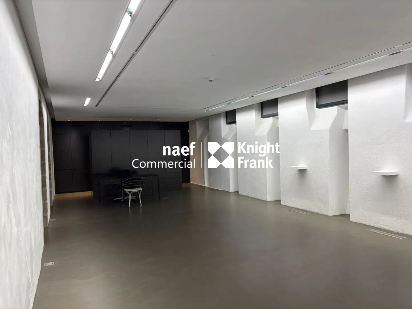Galerie d'exception à Genève - Photo 11 sur 13