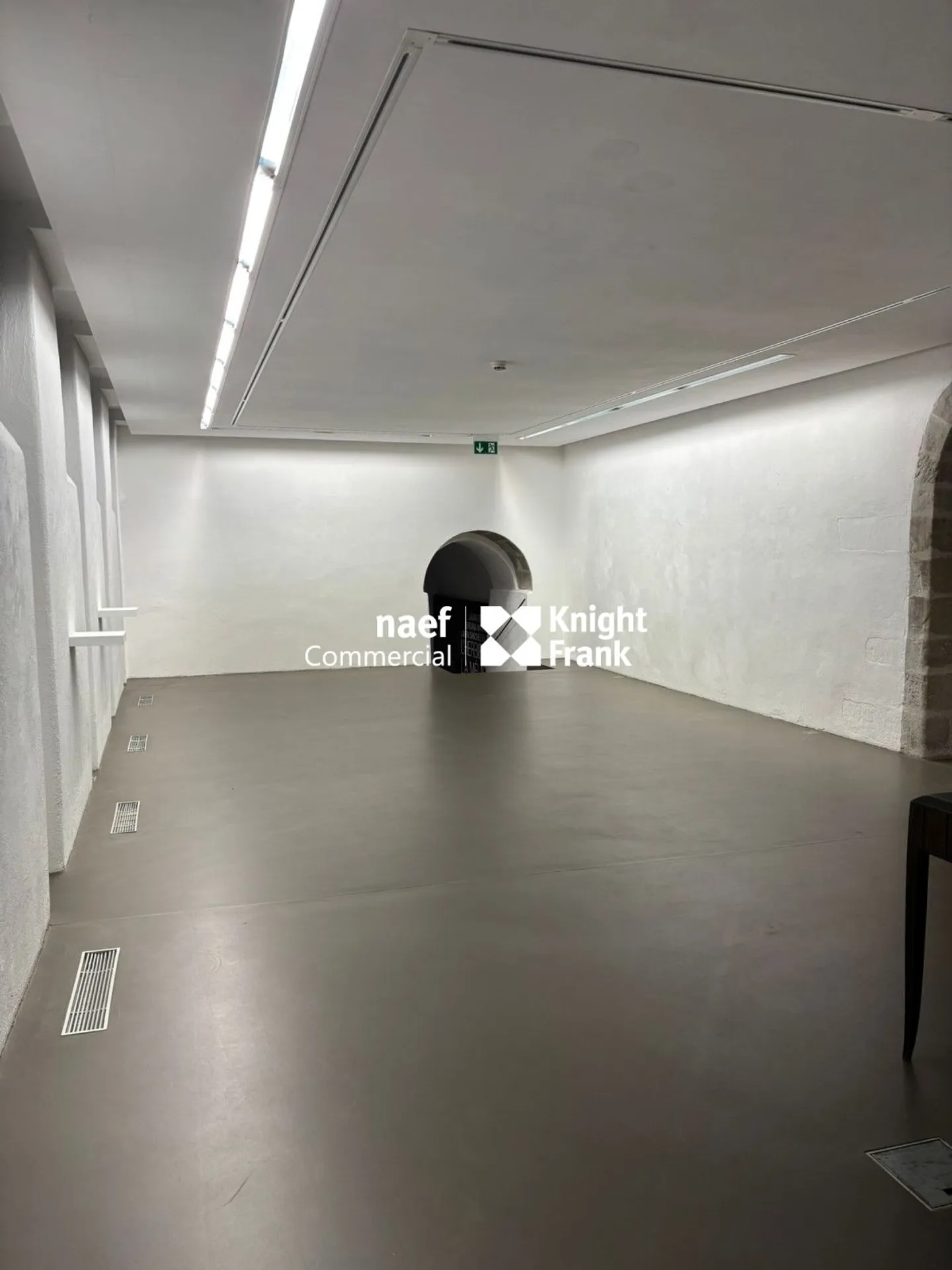 Galerie d'exception à Genève - Photo 12 sur 13