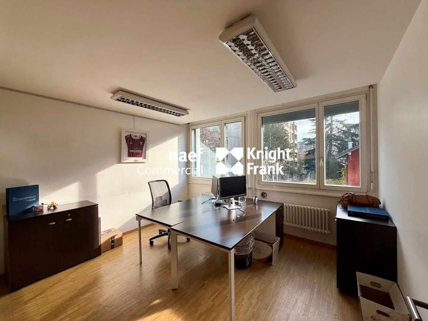 Carouge: Büros von ca. 483m2 zu vermieten - Foto 4 von 8