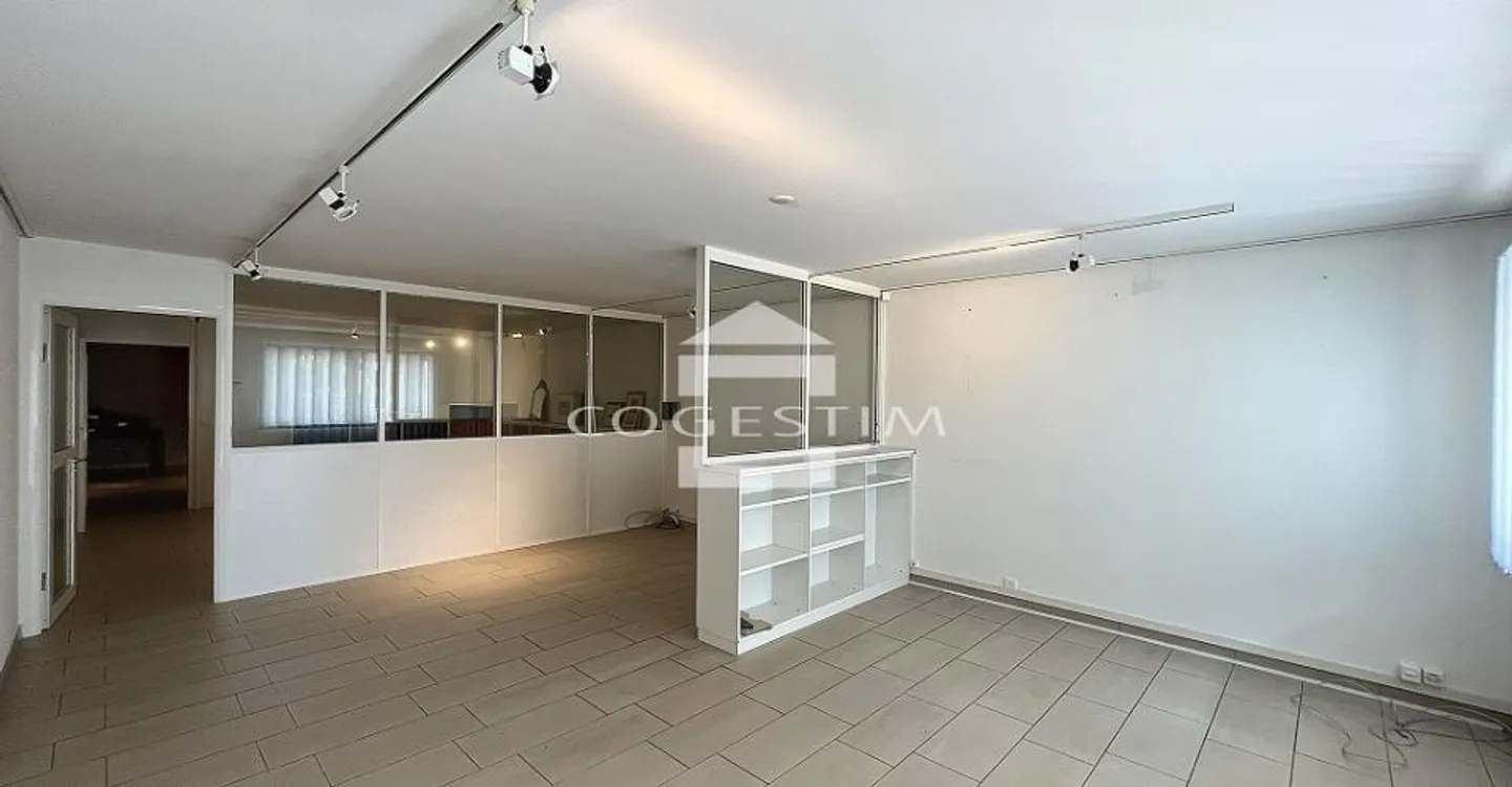 Espace Commercial au Bord du Lac - Photo 1 sur 13