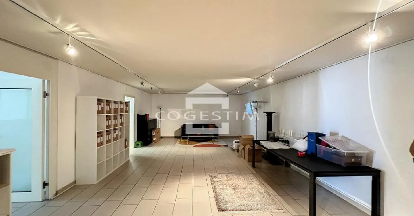 Espace Commercial au Bord du Lac - Photo 3 sur 13