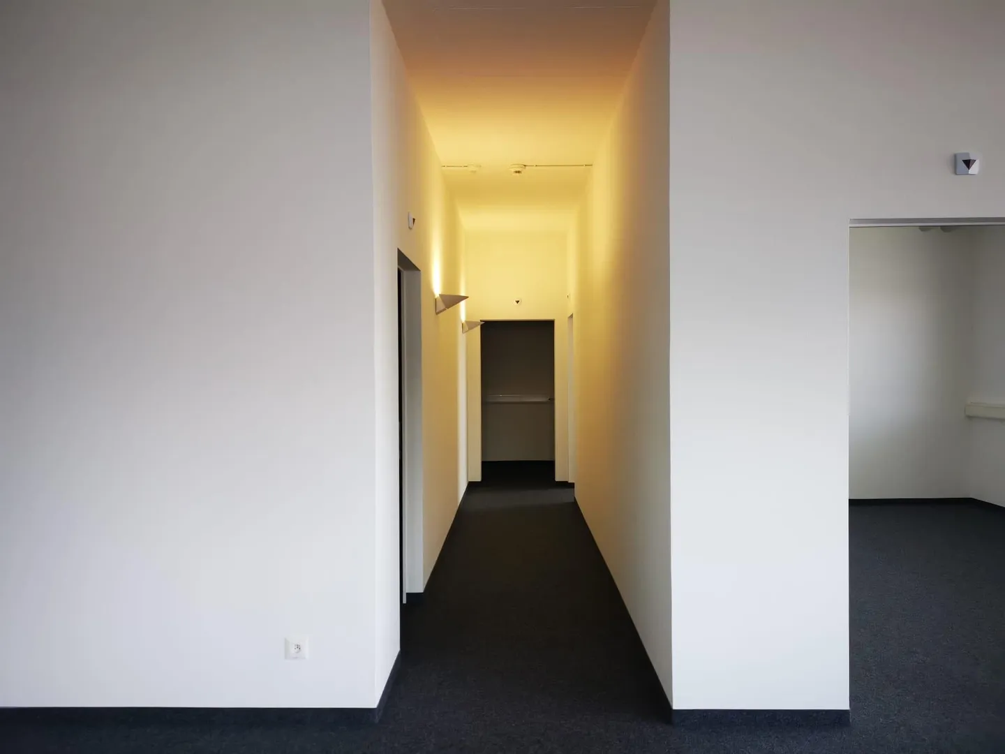 Expanded Office in Prime Location - Photo 6 of 10