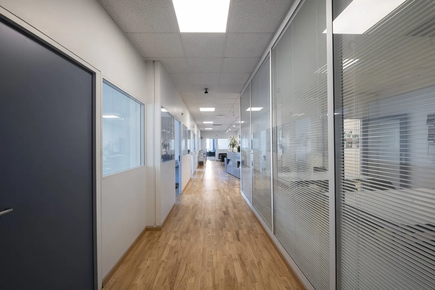 450m2 on the 1st floor of CTN 12 in Plan-les-Ouates. Fully renovated. - Photo 2 of 7