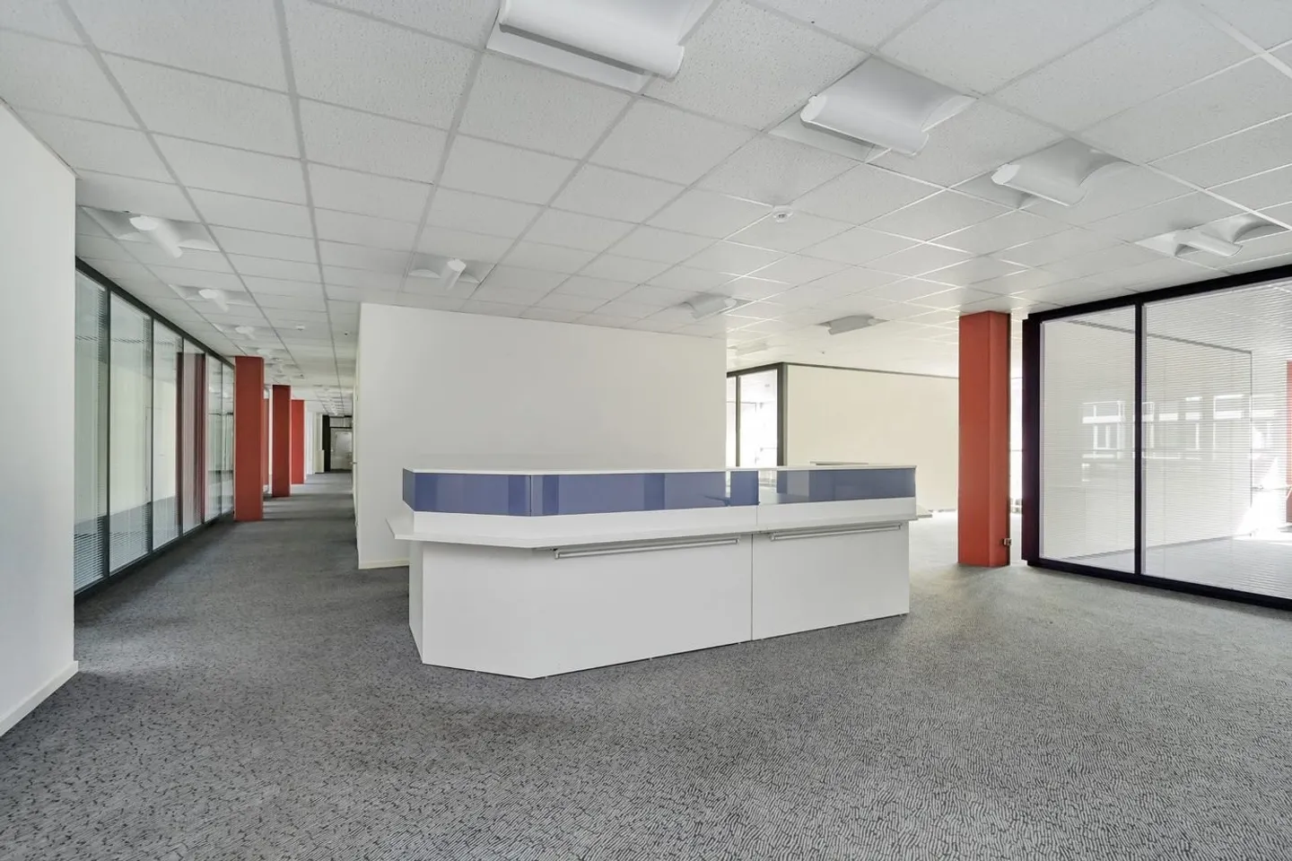 Free commercial space of 830 m² - Photo 5 of 13