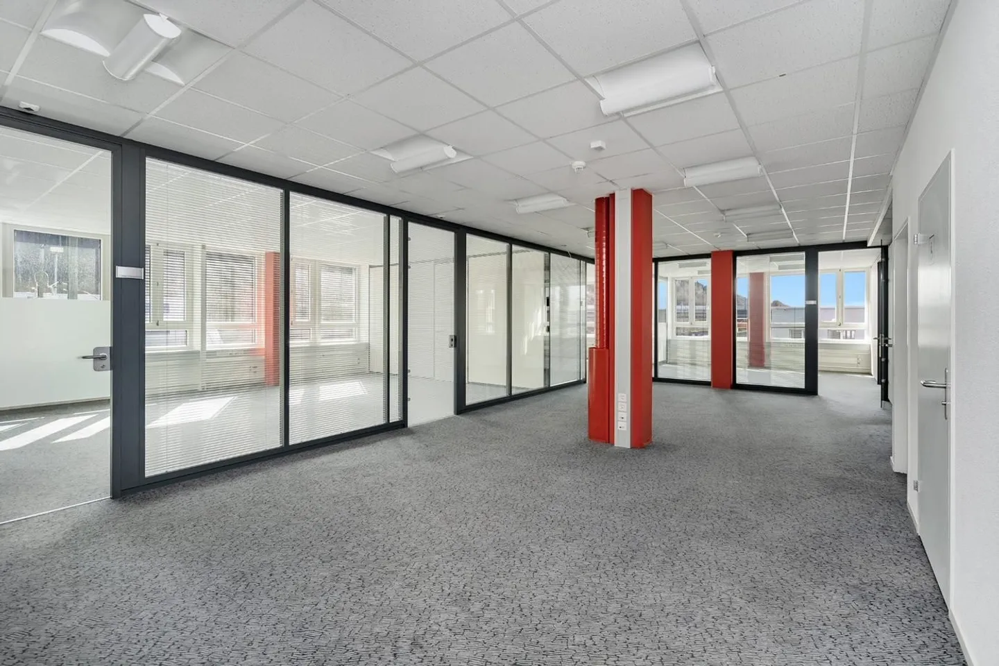 Free commercial space of 830 m² - Photo 4 of 13