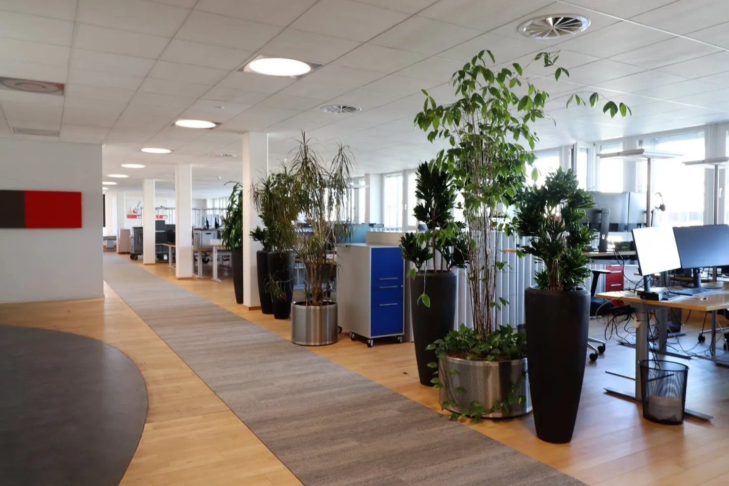 Free commercial space of a total of 4,376 m² - Photo 5 of 12