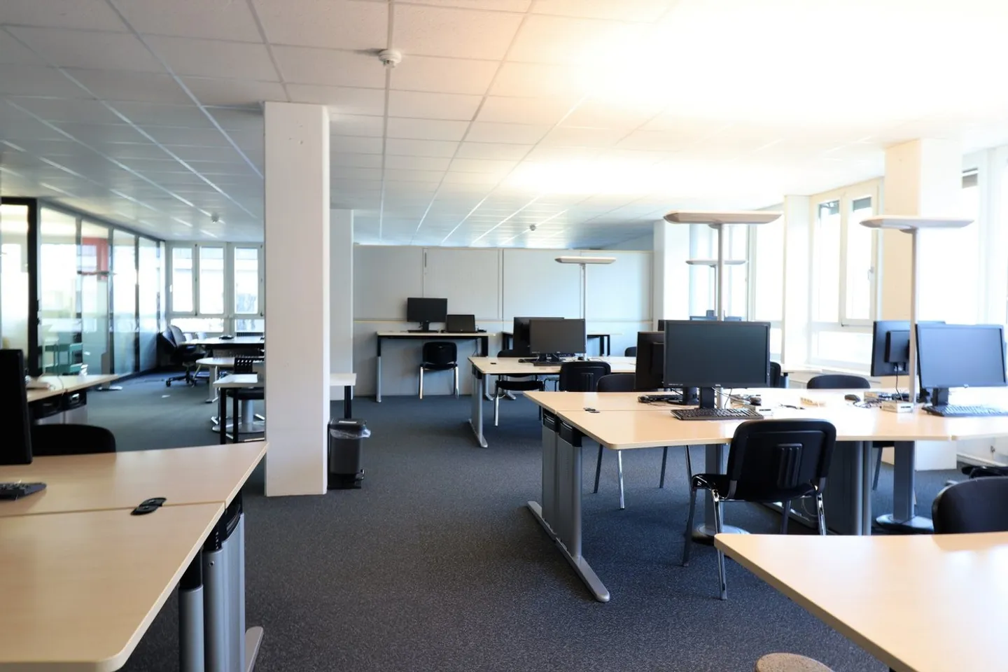 Free commercial space of a total of 4,376 m² - Photo 7 of 12