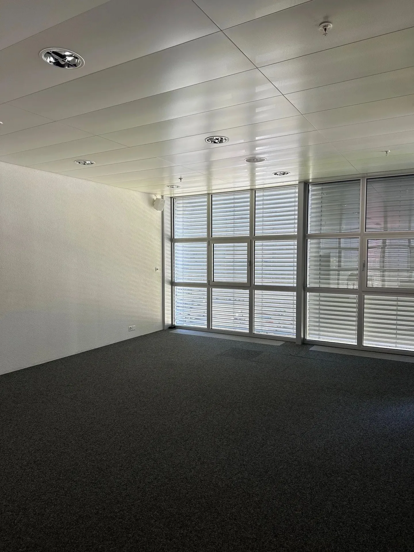 Spazio commerciale versatile a Thalwil - Foto 7 di 11