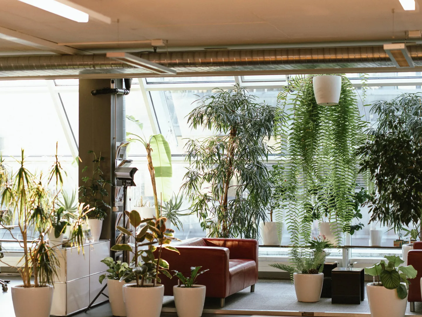 Espace de coworking flexible à Zurich - Photo 6 sur 13