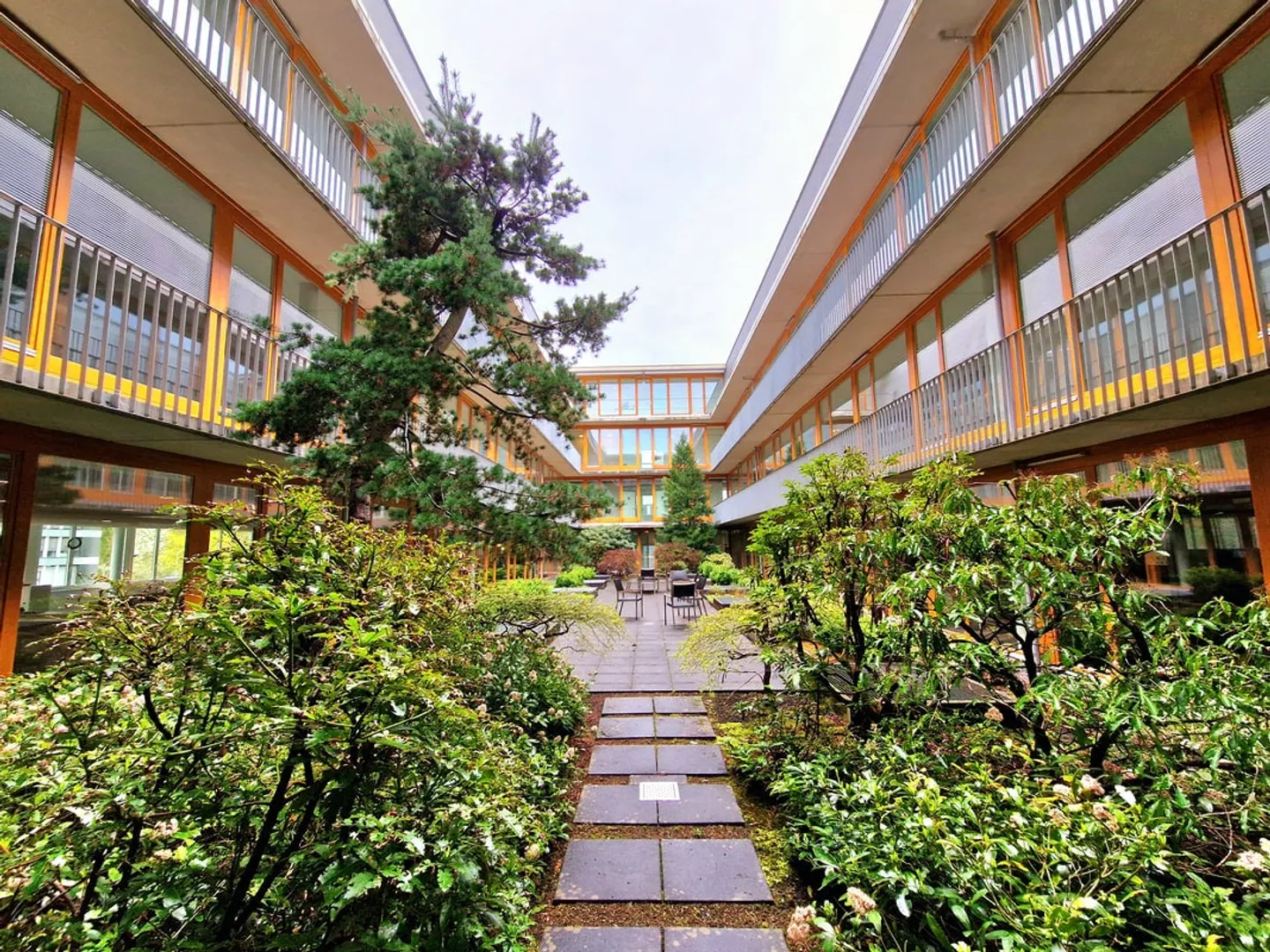 Offices, Practice or Showroom from 150 m2 to 1,120 m2 differently: Bright and with Patio Flair - Photo 5 of 5