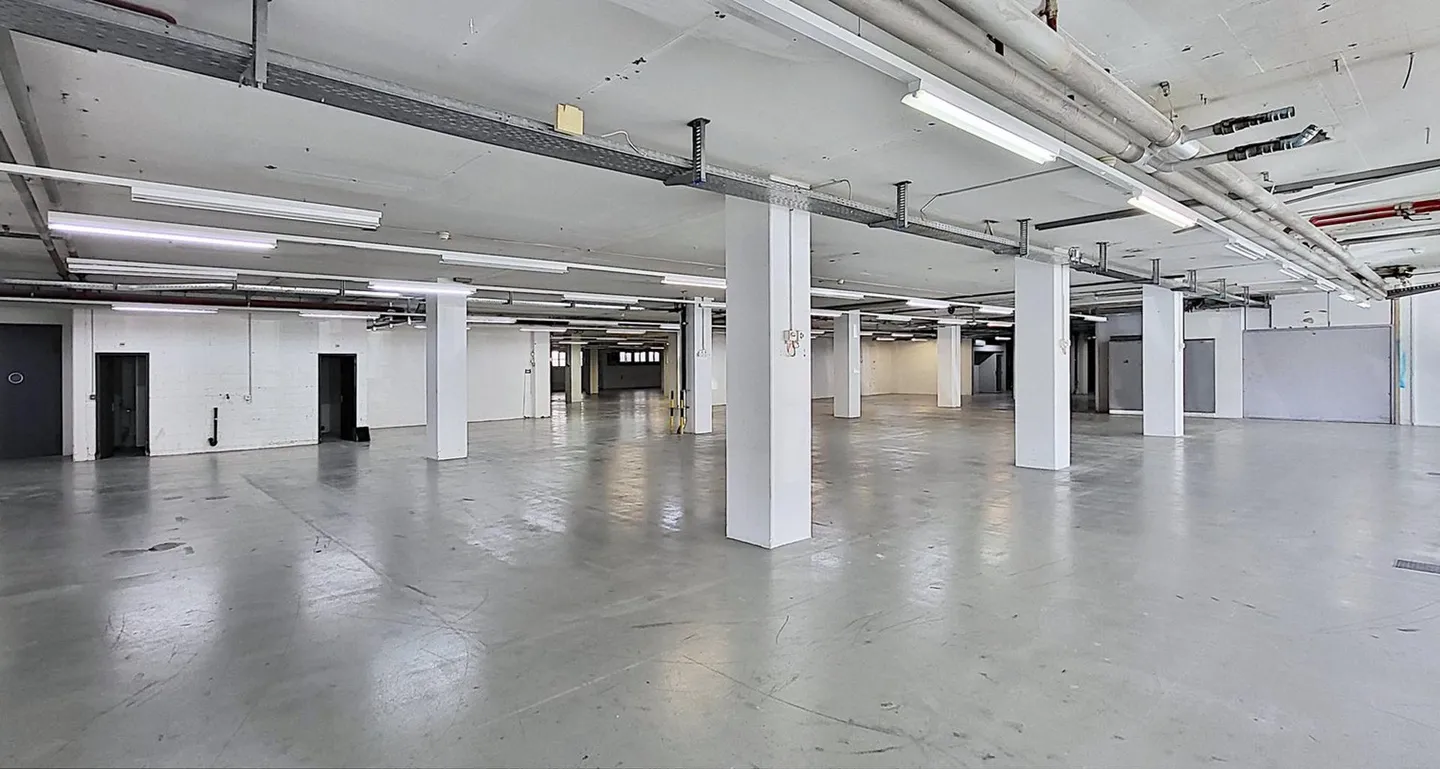 Espace commercial passionnant au sous-sol avec beaucoup de lumière naturelle ! - Photo 3 sur 8