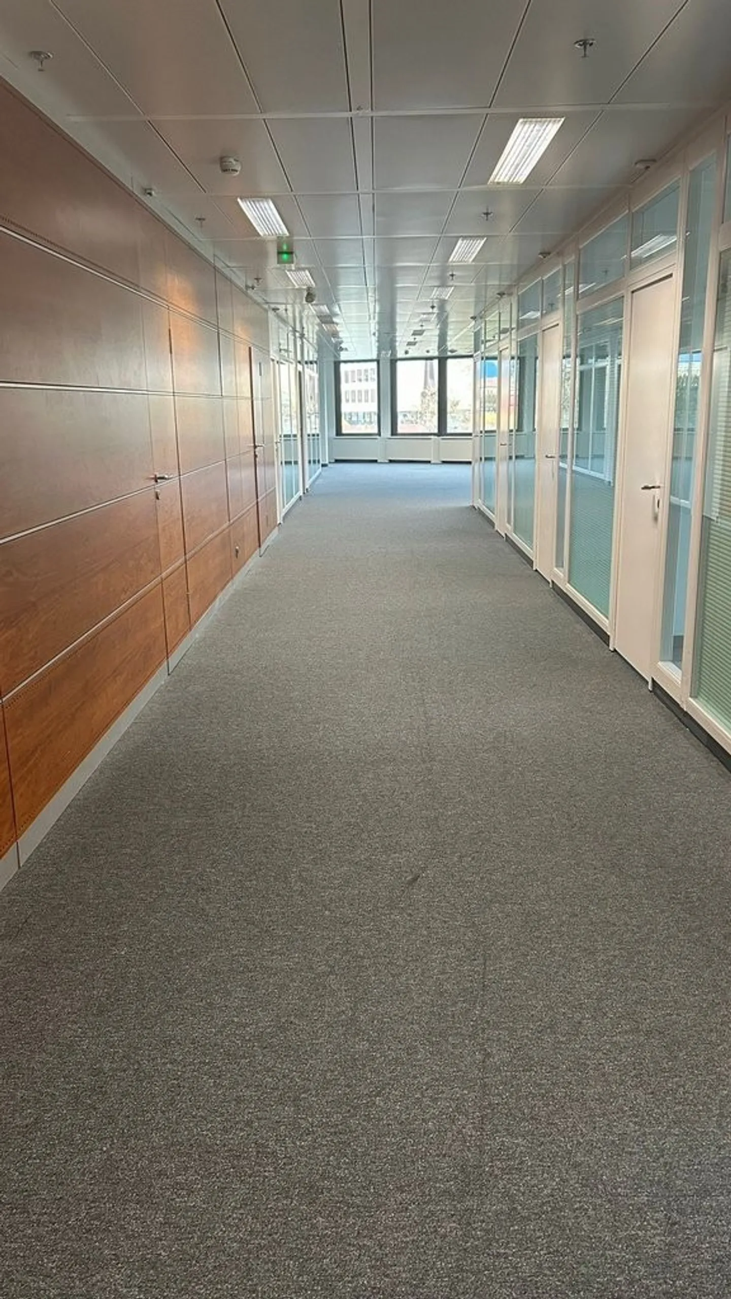 Ufficio 329 m2 - Avenue des Morgines 12, Petit-Lancy - Foto 5 di 7