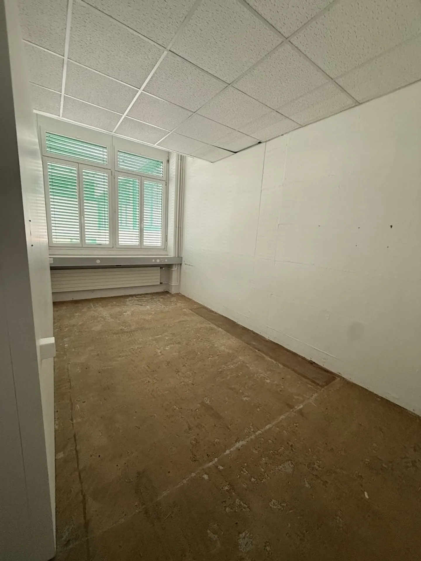 Archivräumlichkeit in Bestlage - Foto 2 von 5
