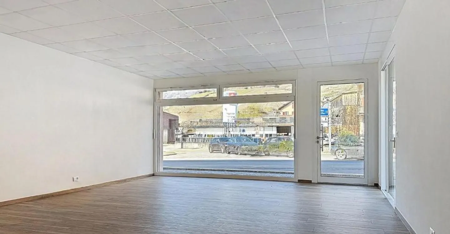 Commercial Space 1 Room - Photo 3 of 8