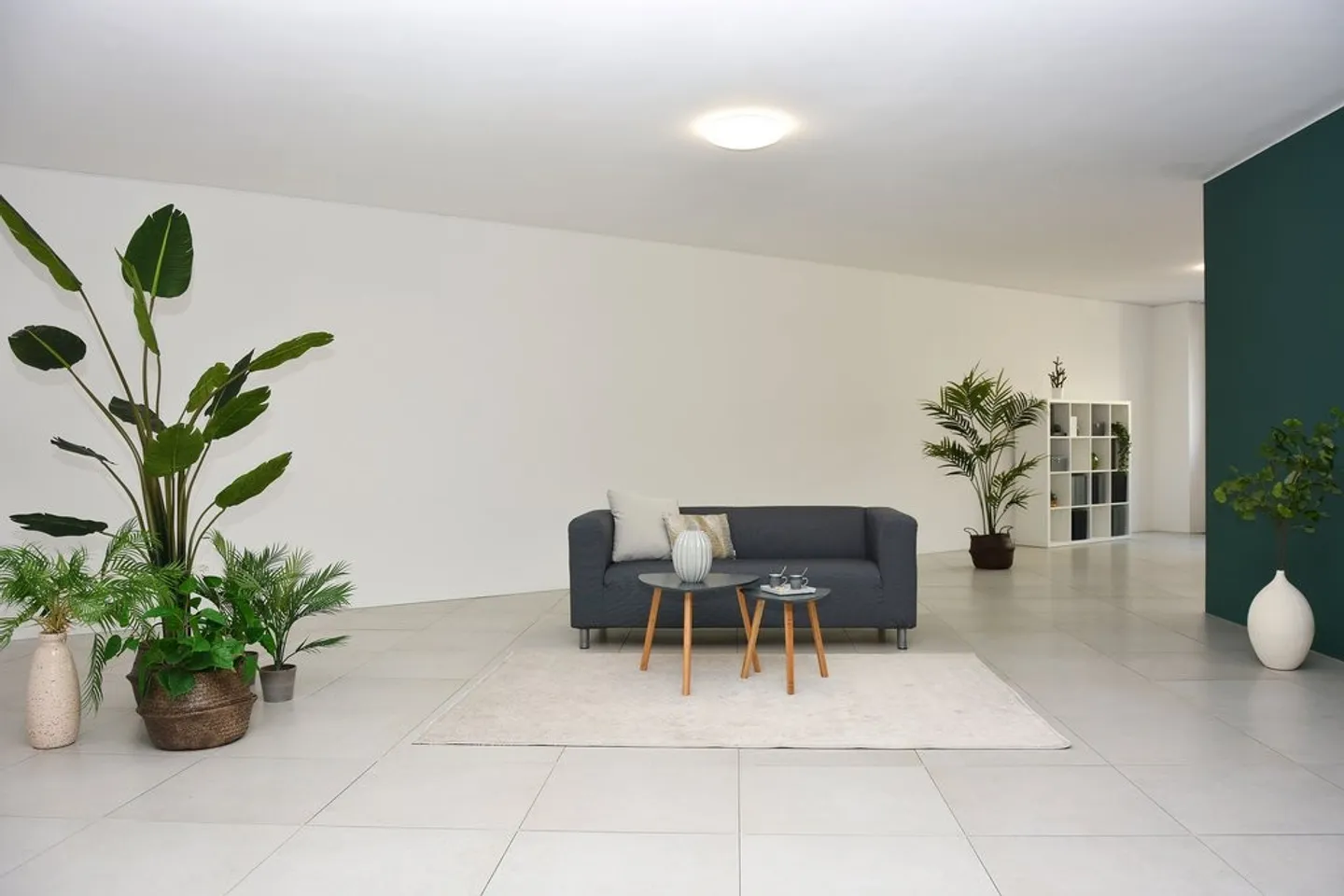 Wunderschönes Büro im Herzen von Paradiso - Foto 6 von 8