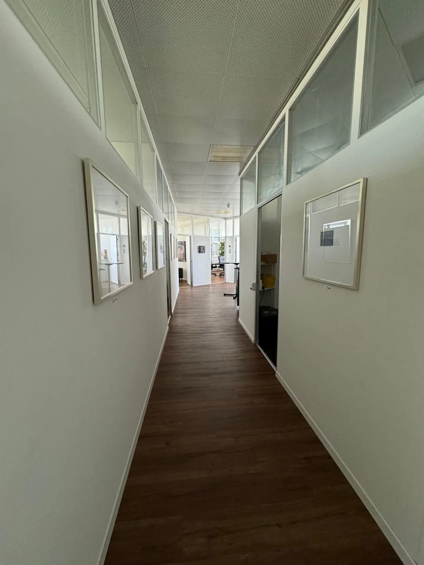 Geräumige Bürofläche in Solothurn - Foto 6 von 10