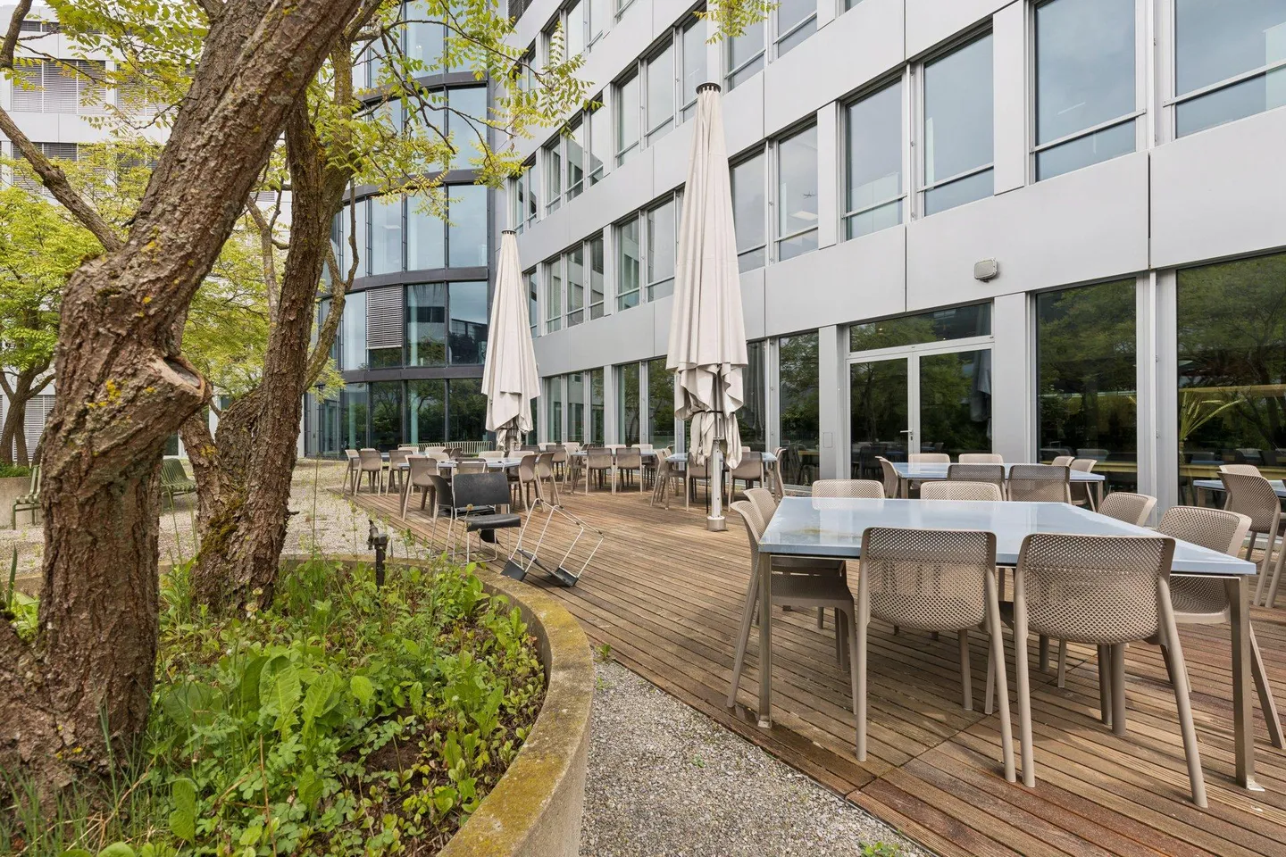 Moderne Büroflächen in Schlieren - Foto 7 von 9