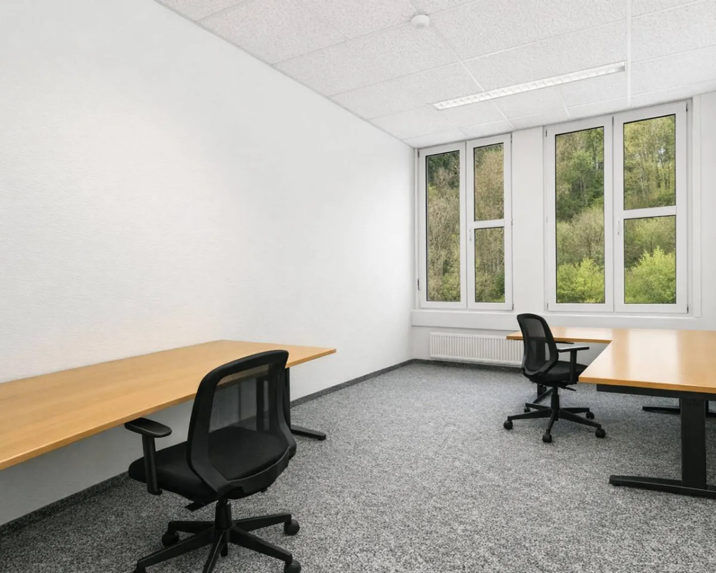 Attractive Commercial Space - Photo 8 of 13