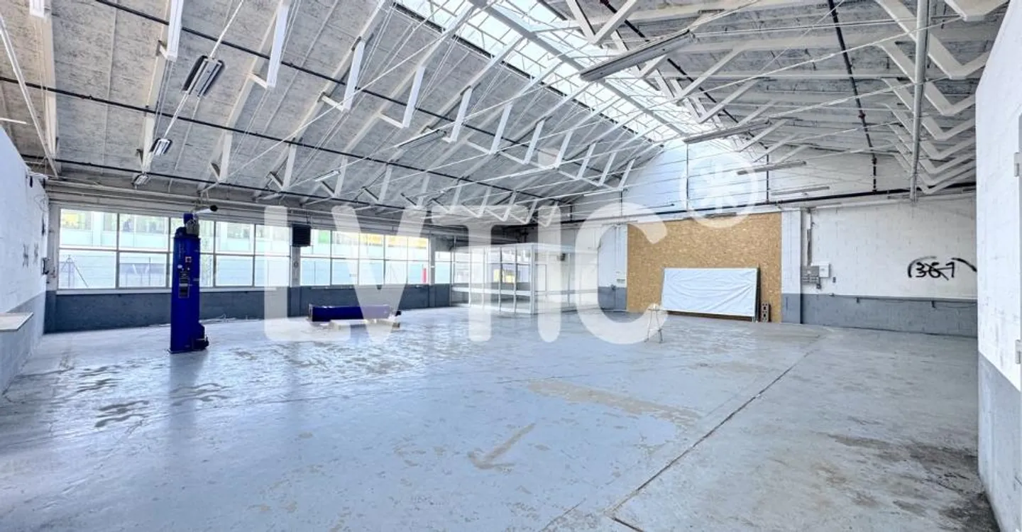 Showroom spacieux à Meyrin - Photo 3 sur 8