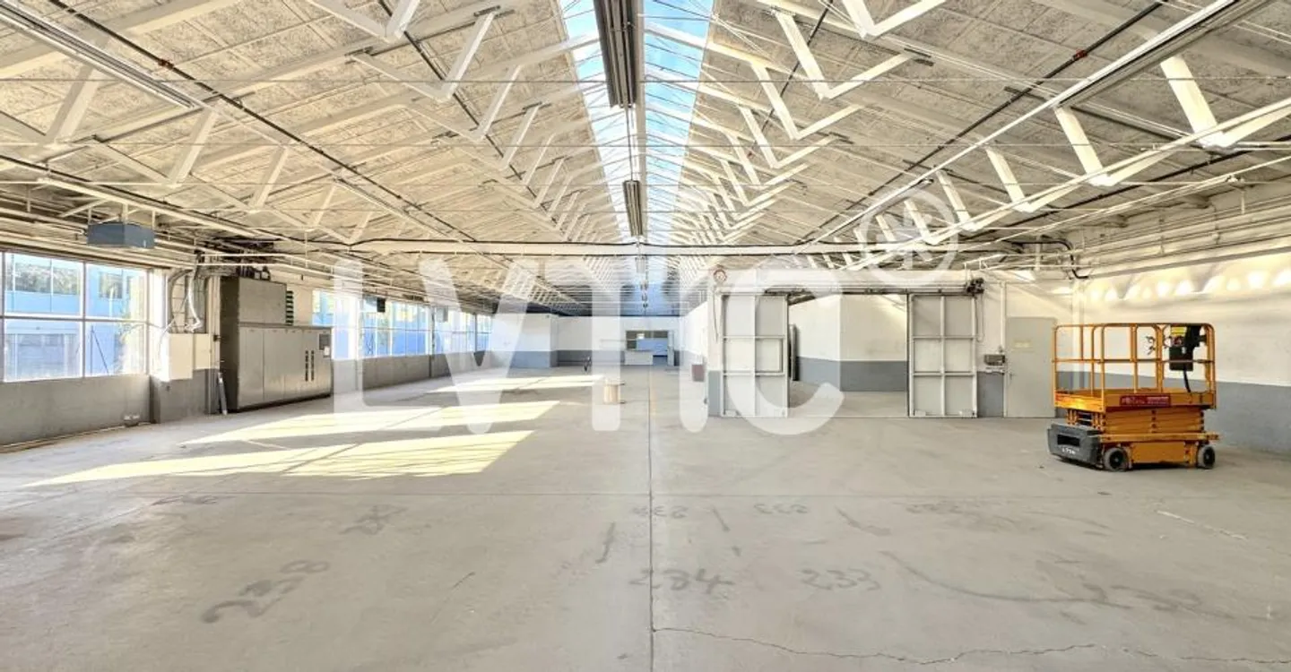 Showroom spacieux à Meyrin - Photo 2 sur 8