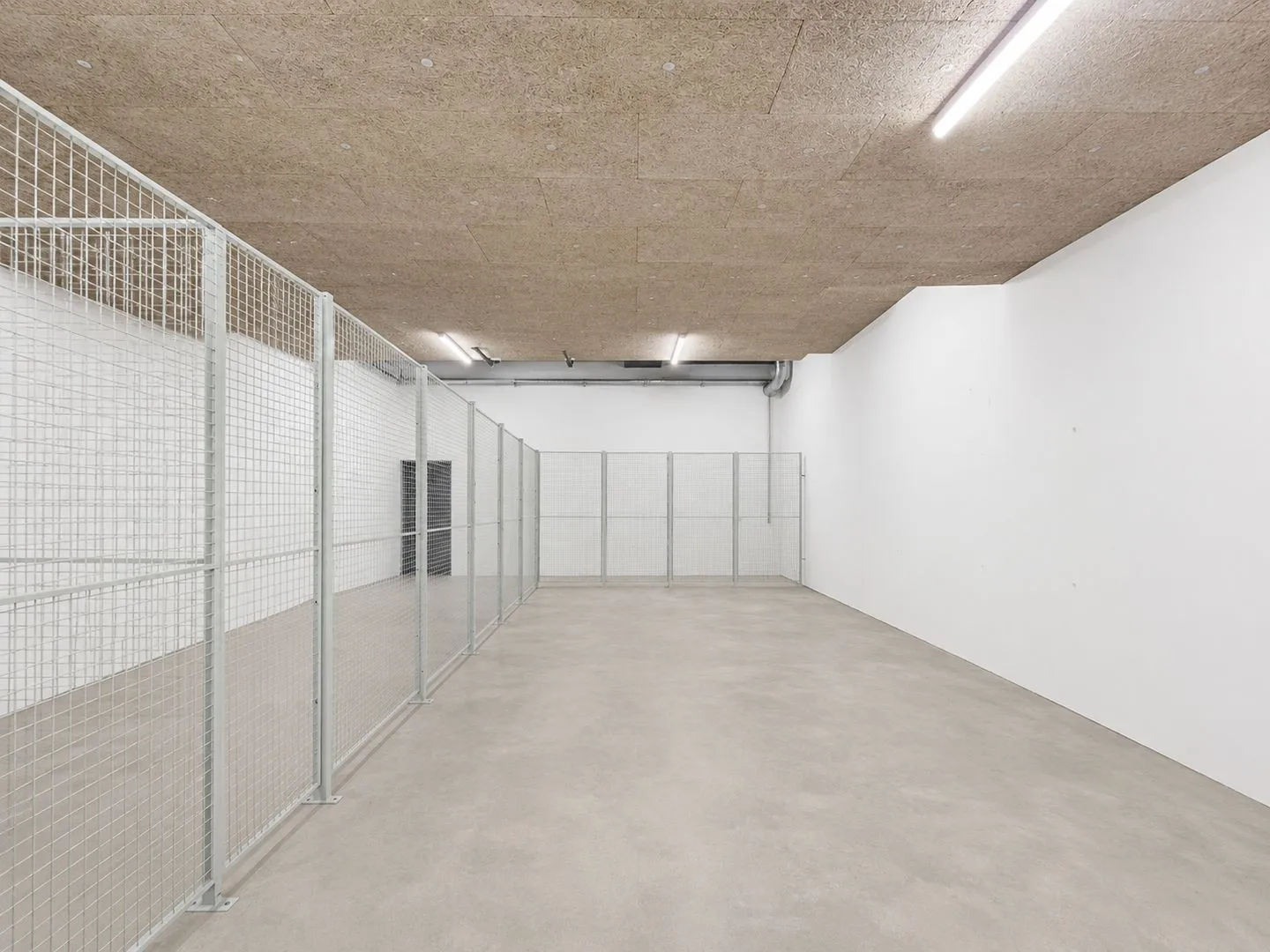 High storage areas in the basement in Root! - now from 50 m² - Photo 2 of 6