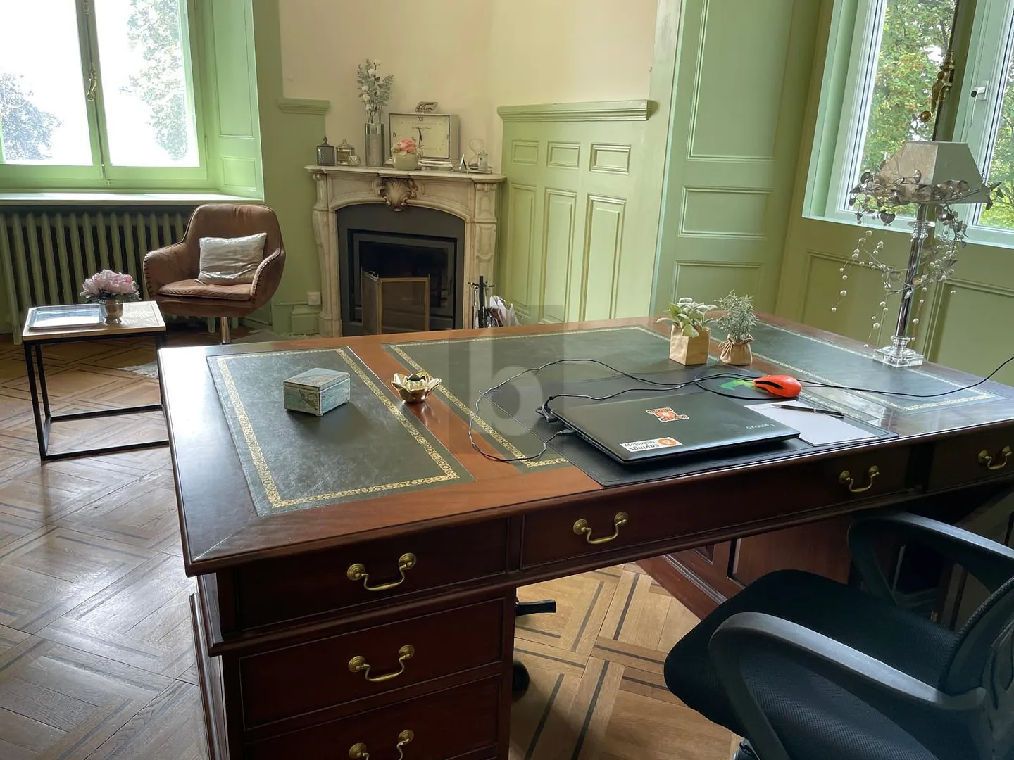Elegant Office with Lake View - Photo 4 of 6